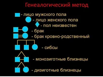 Генеалогический метод особенности