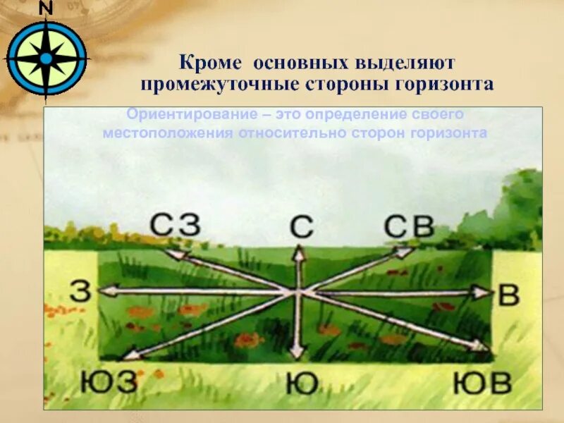 Как расположены кавказские горы относительно сторон горизонта. Основные и промежуточные стороны горизонта. Относительно сторон горизонта. Знать стороны горизонта (основные и промежуточные),. Определение своего местоположения относительно сторон горизонта.