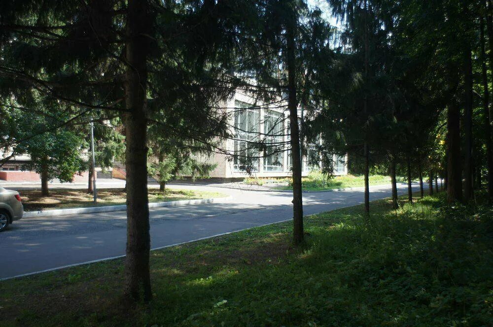 корабельная роща набережные челны. корабельная роща нижнекамск официальный сайт. нижнекамск корабельная роща сайт. нижнекамск корабельная роща сайт. корабельная роща нижнекамск.