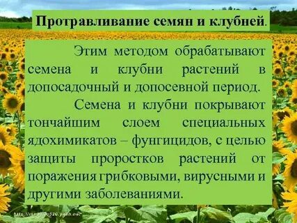 Семеноводство и защита растений