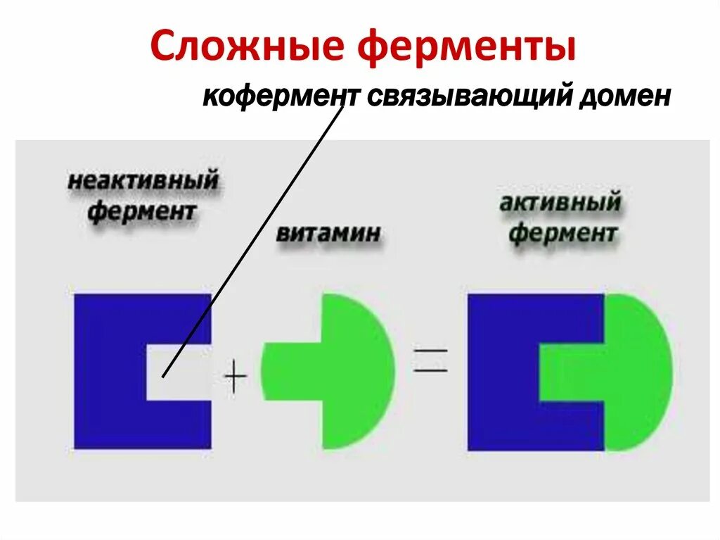 Давление ферментов