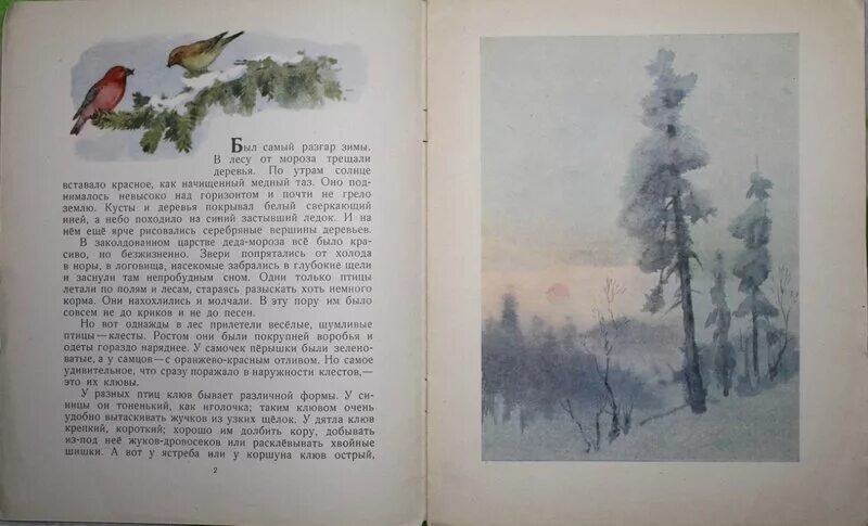 Скребицкий рассказы о животных зимой. Весне навстречу — скребицкий г.. г.скребицкий&quot;однажды в лесу&quot;. г. скребицкий &quot; однажды&quot;. г скребицкий весна в лесу.