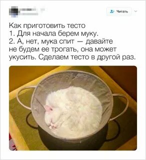 Анекдот про тесто