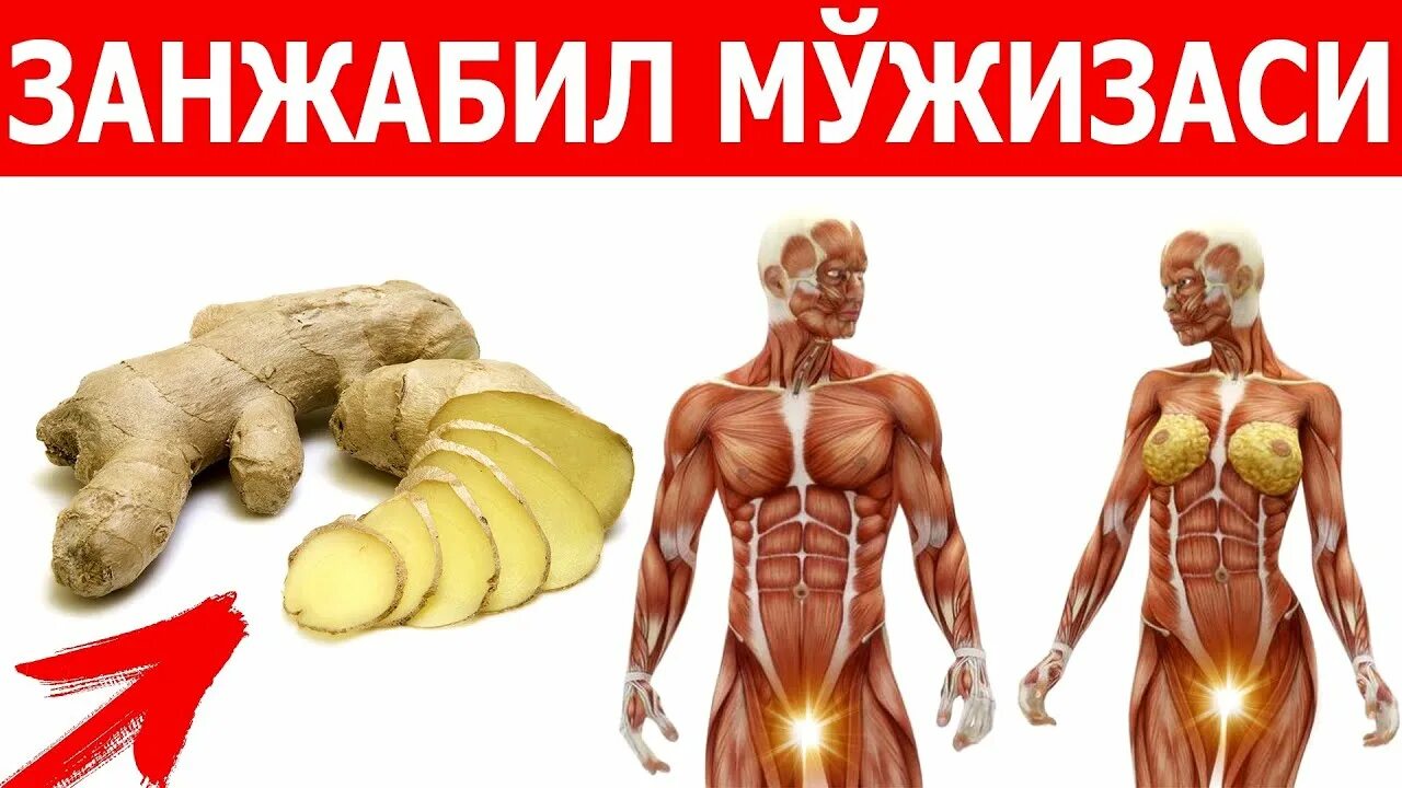 Умир умир бир келет