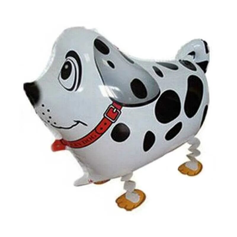 Собака с шарами. Воздушные шары собаки. Имя шарика в собачьем. Собака с шарами. Имена для собак мальчиков.