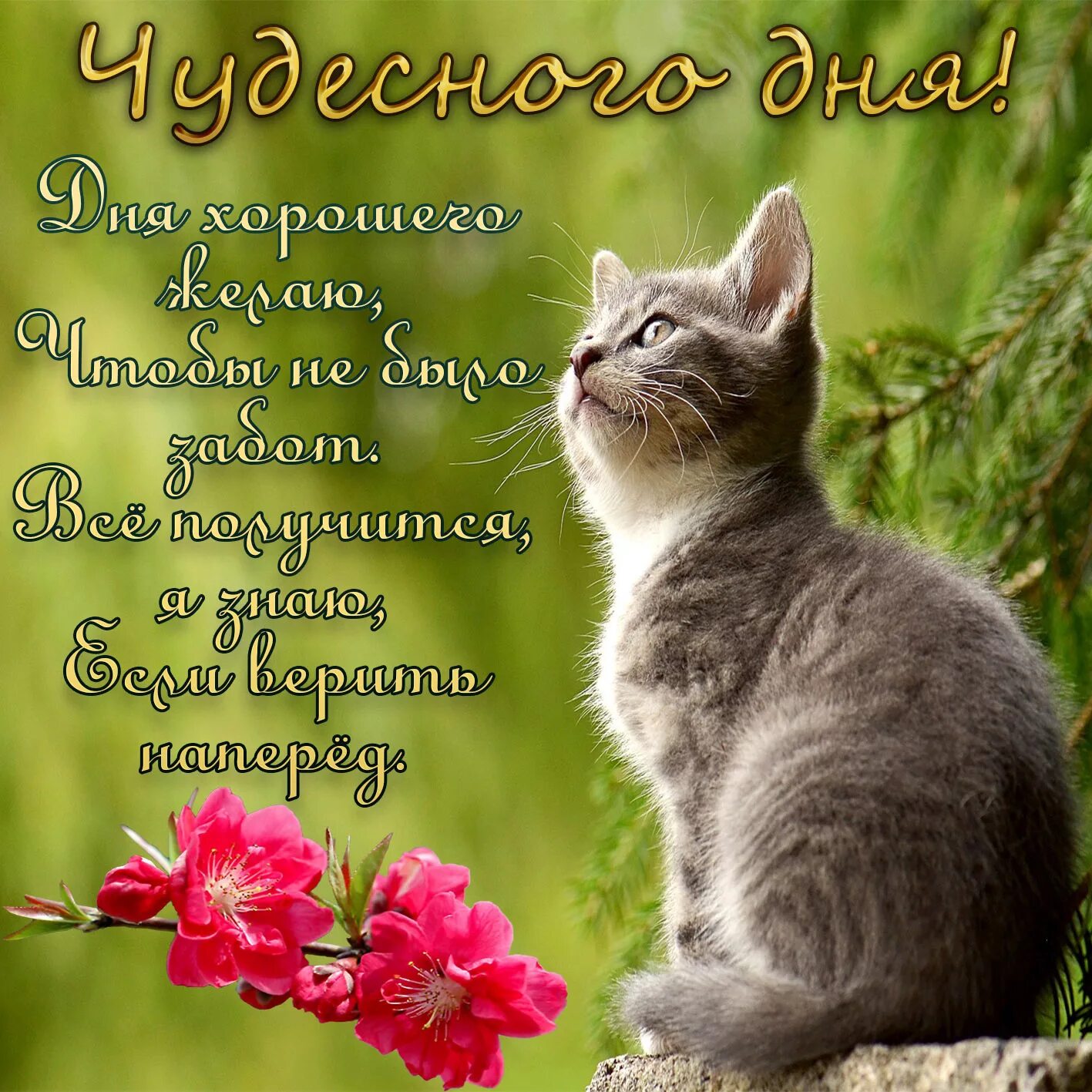 Привет легкого дня
