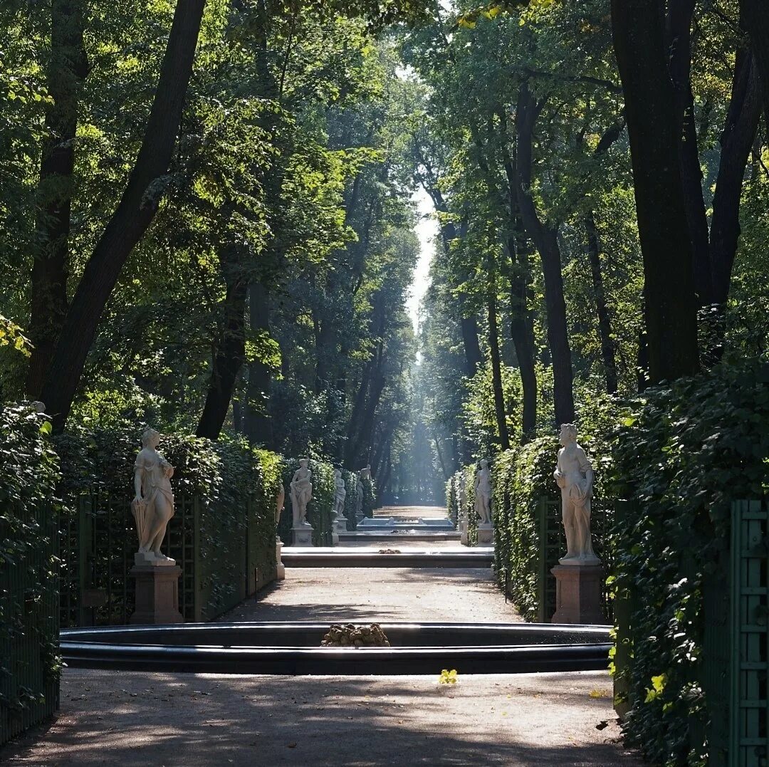 Сколько летних садов было в петербурге. Летний сад в санкт-петербурге. летний сад в санкт-петербурге 2025. летний сад петра 1 в санкт-петербурге в летнем саду. летний сад главная аллея.