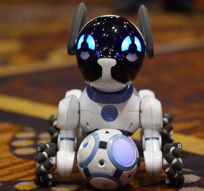 Робот собака чип. Робот-пес chip k9. робот чипик робот чипик робот чипик робот чипик робот чипик. робопёс чип. чип для собаки.