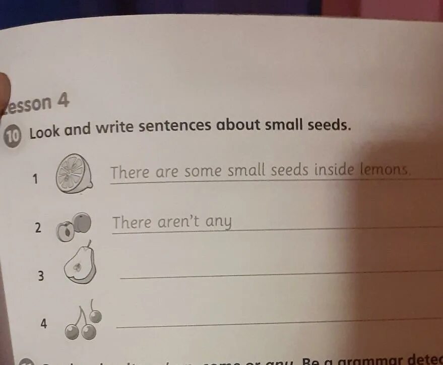 What happened write sentences. Small sentences about Cow. Small sentences about Mango.