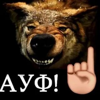 Волки делают ауф