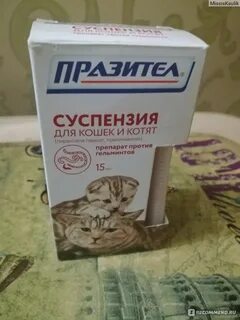 Чем лечить кота от глистов