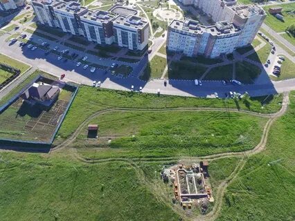 Улитка дубовое