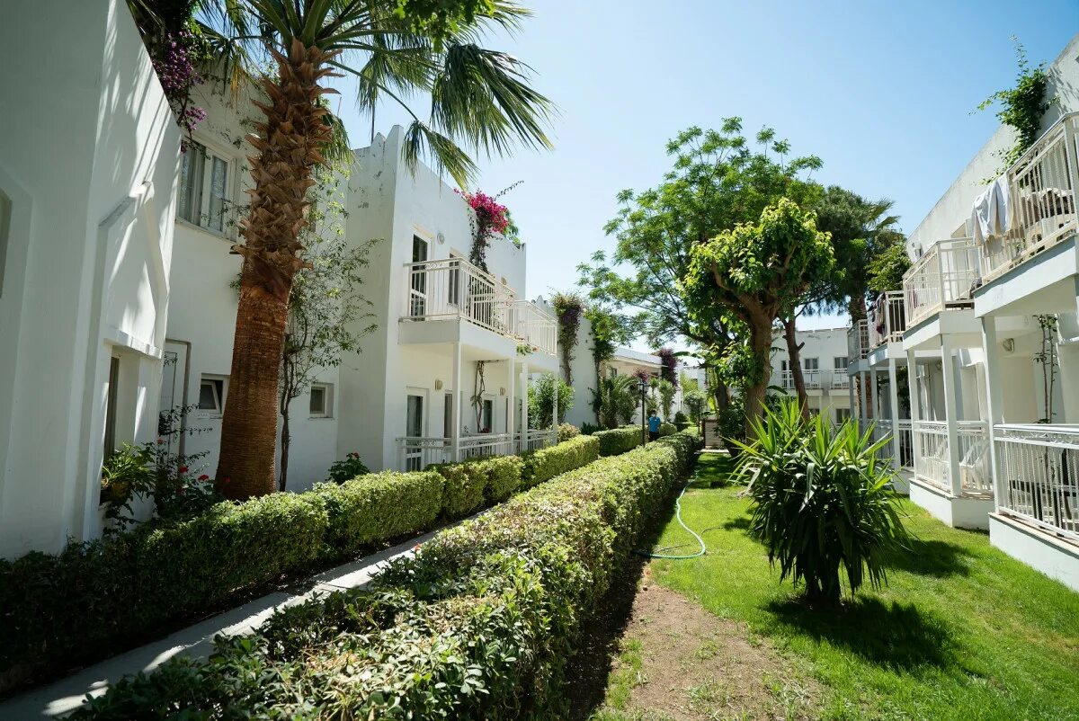 Petunya beach resort отель в турции. Турция отель петуния бодрум. Петуния отель в бодруме. Петуния бич бодрум. Petunya beach resort 4 турция бодрум.