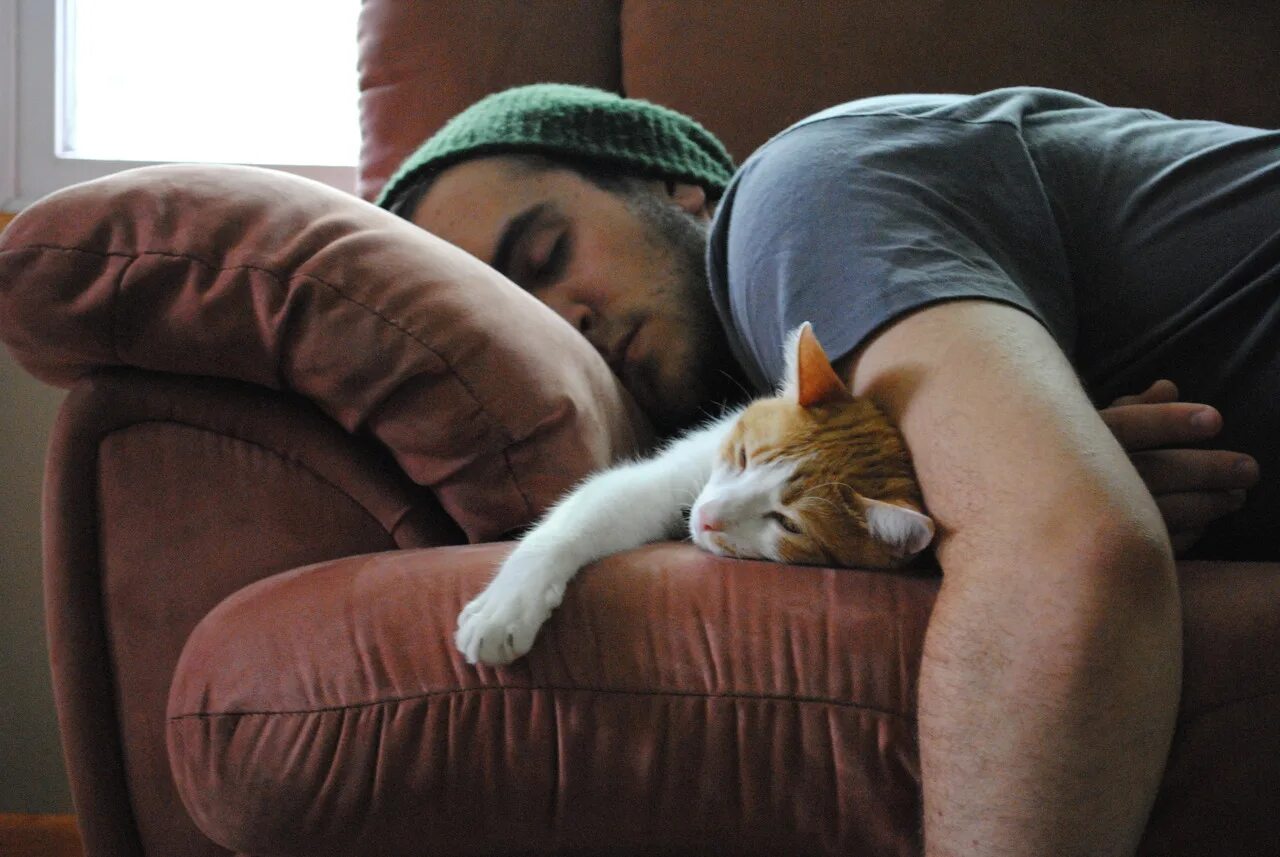 Парень с котом на диване. Парень лежит с котом. Мужчина любящие кошек