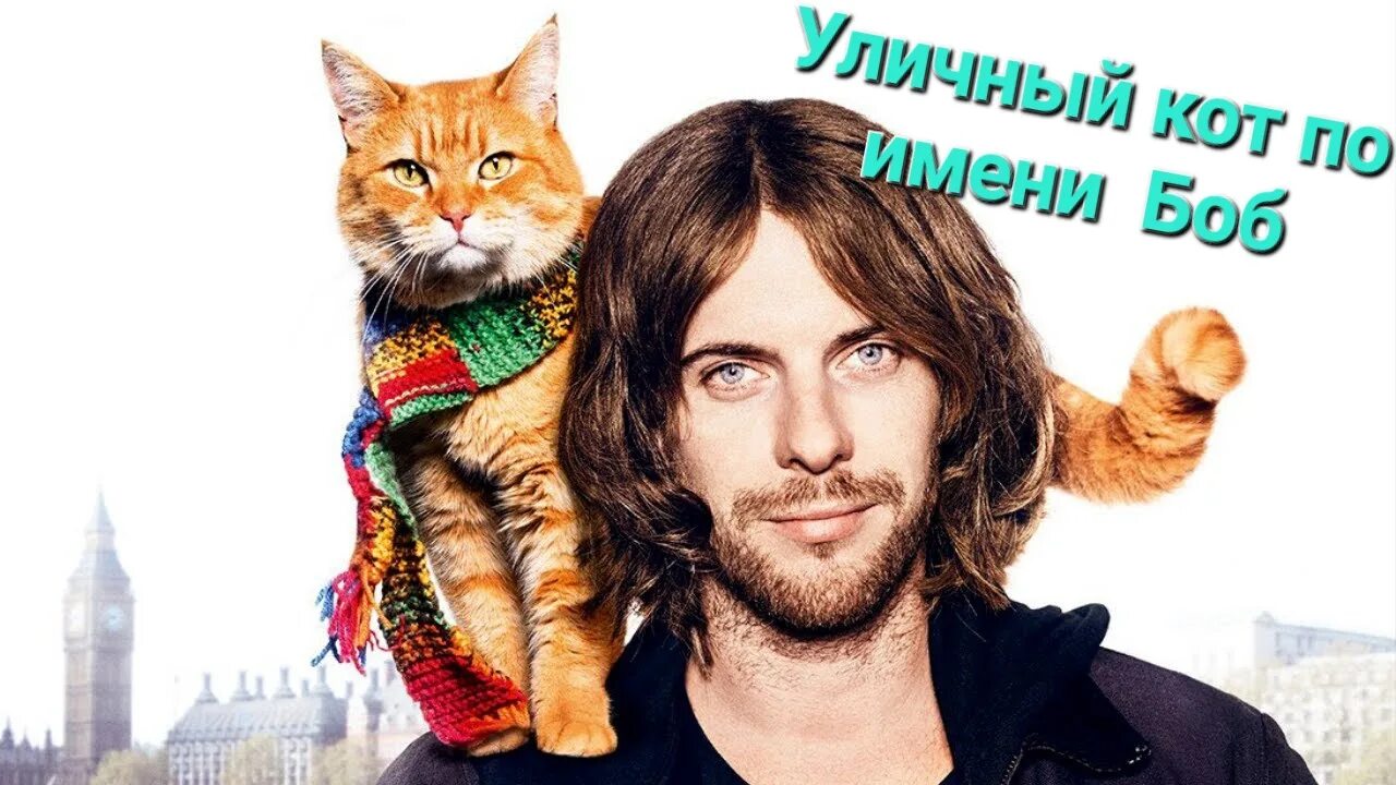 Лучший кот по имени боб. Кот по кличке боб. уличный кот по имени боб. уличный кот по кличке боб реальные фото. уличный кот по кличке боб фильм 2016 постер.
