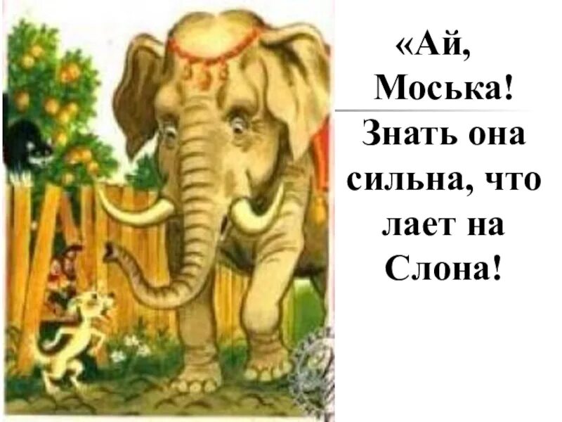 Моська знать она сильна. Ах моська знать она сильна коль лает на слона. Слон и моська. Иллюстрация к басне слон и моська.