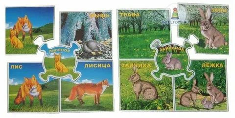 Настольные игры диких животных