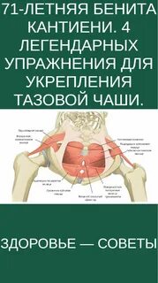Упражнения для укрепления тазовых мышц