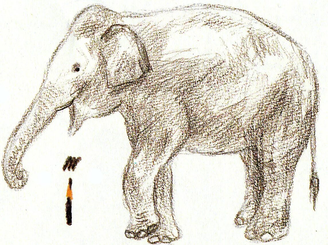 Слон нарисовать. Саша черный слон рисунок. Слон карандашом. Слоник карандашом. Слон рисунок карандашом для детей.