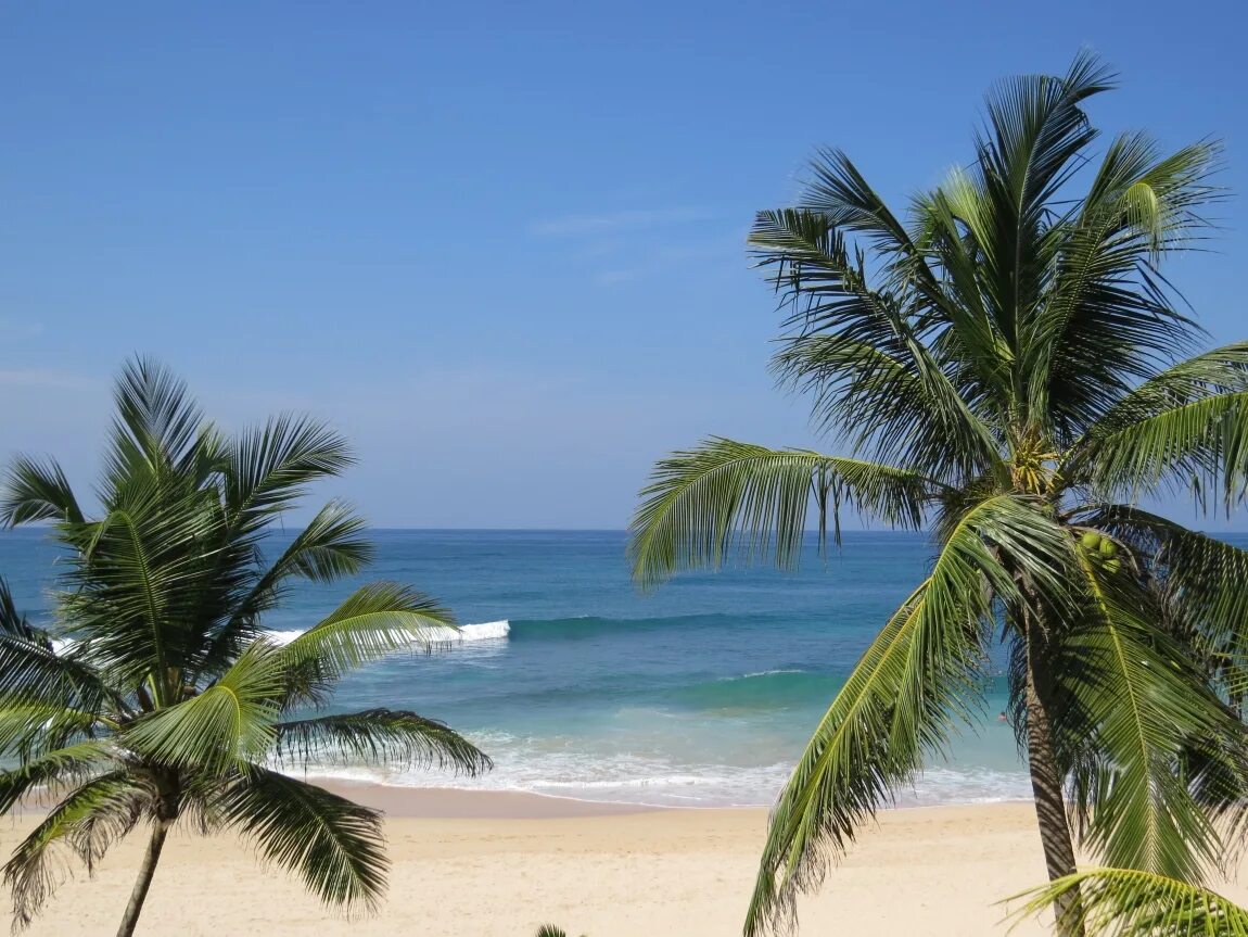 Шри ланка экскурсии. Отдых на шри ланке в феврале. Шри ланка пляжный сезон. Шри ланке в марте. Мирисса шри ланка.