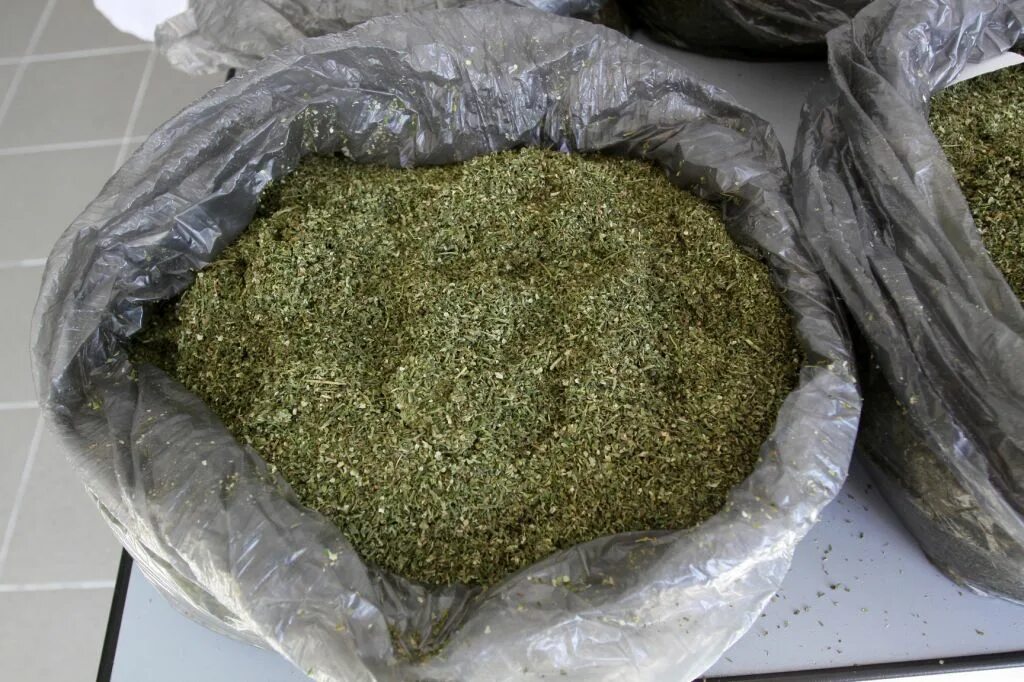 3 кг травы. 1,5 кг травы. черная трава от испуга на урале. 1 кг марихуаны. 1 кг травы.