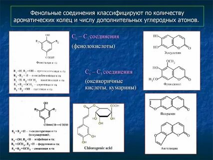 Какие соединения относятся к ароматическим