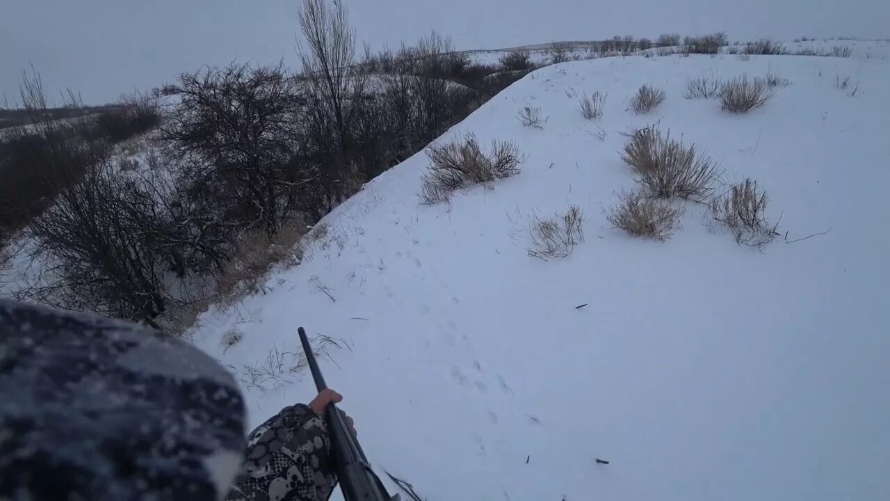 Роор охота краснодарский. Охота на зайца в белорецком районе. Охота на зайца в краснодарском крае 2024. Охота на зайца в краснодарском крае 2024. Охота на зайца в краснодарском крае 2024.