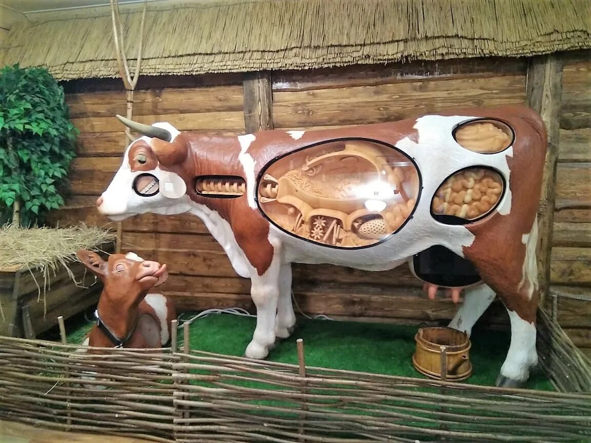 музей сырка александров пушкино. музей молока и глазированного сырка б. музей сырка и молока. музей сырка ростагроэкспорт экскурсия. музей сырка и молока.