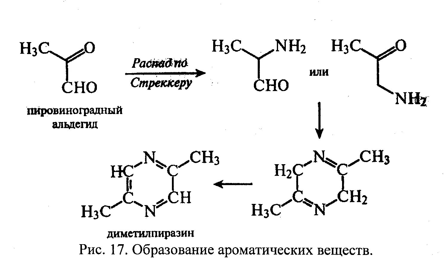 Распад po. Пировиноградный альдегид. Ароматические вещества образование. Реакция Майяра. Реакция образование ароматических веществ.