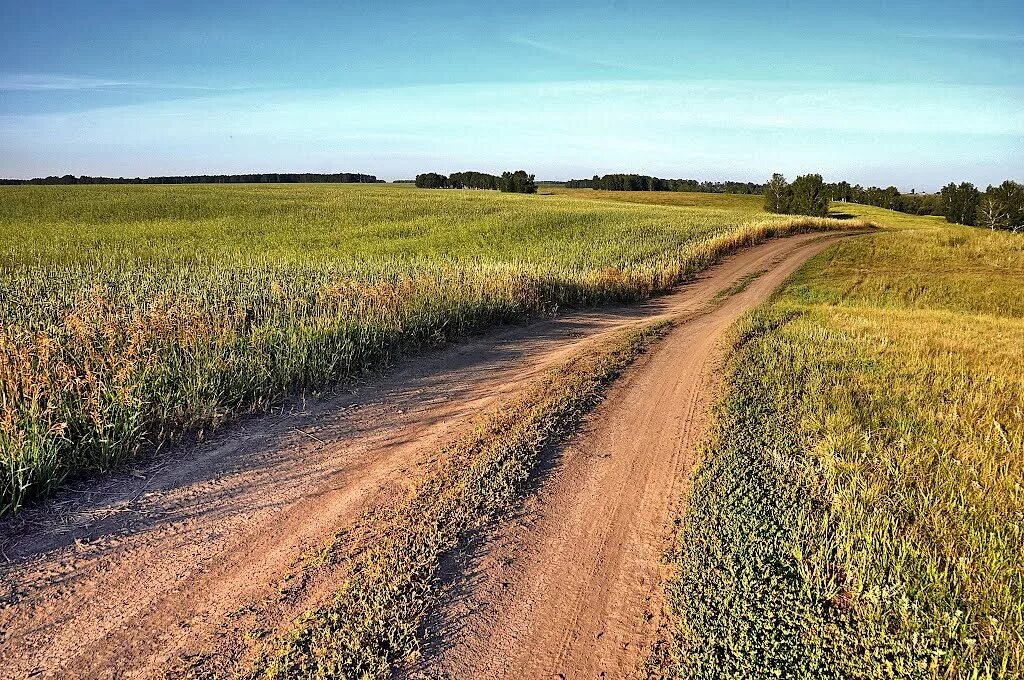 сельская дорога. земляная дорога. значение грунтовых дорог. трасса качуг жигалово. дорога картинка.