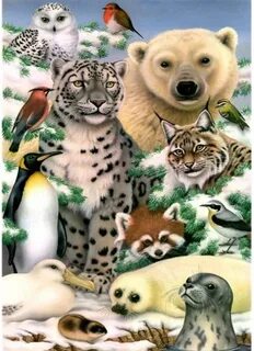 Животные номер 3