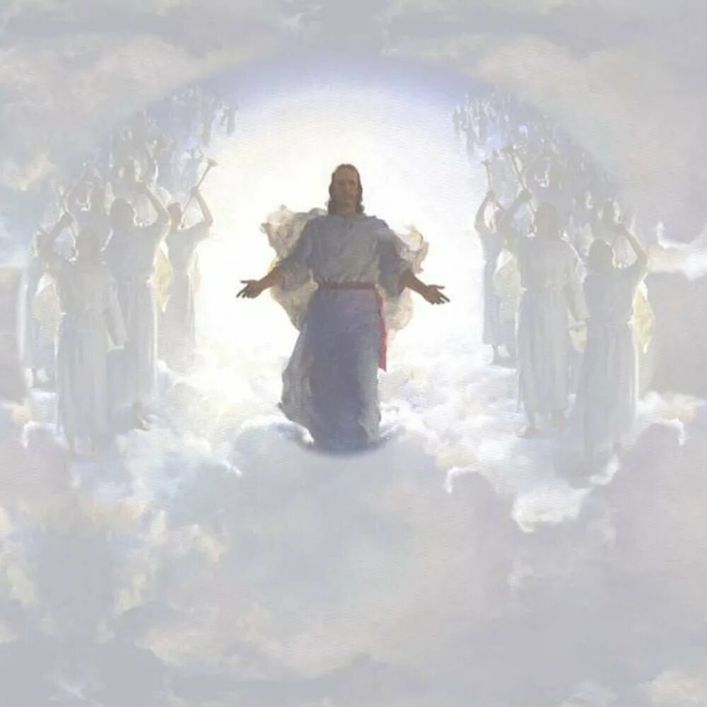 Встречайте бог. Царство небесное Иисус. Царство небесное престол Иисуса Христа. Христос и ангелы. Иисус в небе.