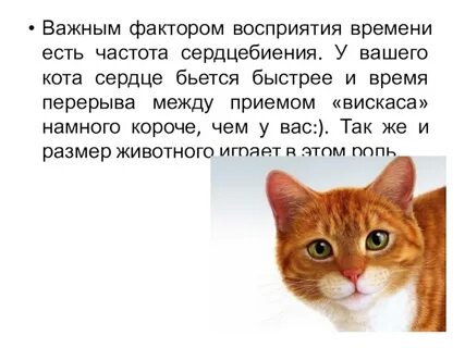 Принял воспринял