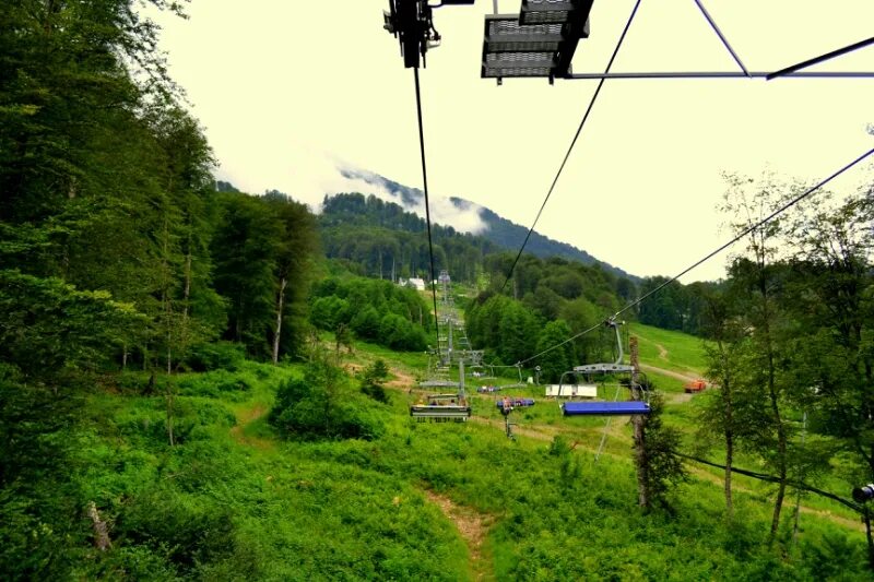 Волчья скала еао. Волчья скала. Волчья гора роза хутор. Гора похожая на волка. Канатная дорога волчья скала роза хутор.