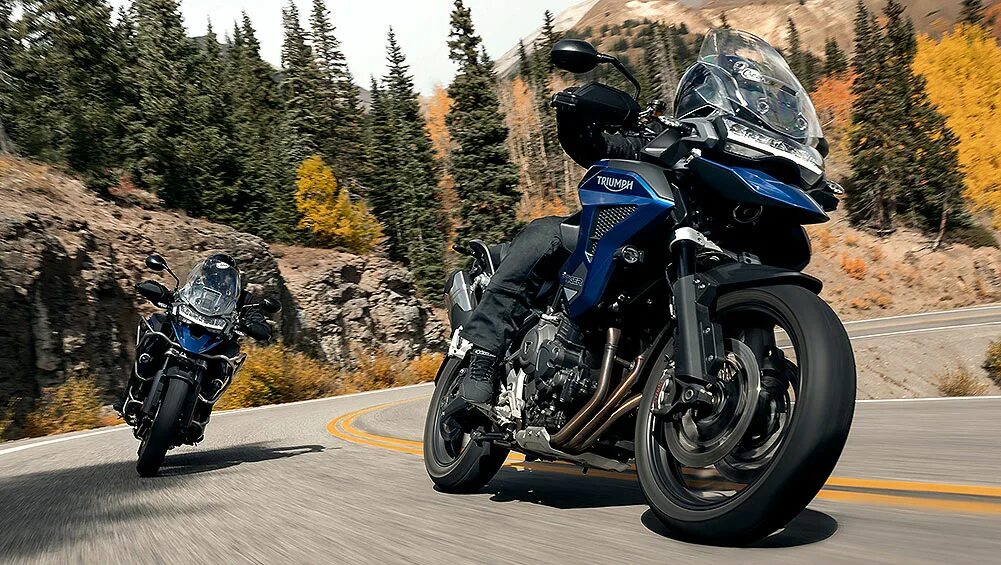 Triumph tiger 900 rally pro. Мот триумф 955. Triumph professional. Triumph professional. Triumph tiger 1200.