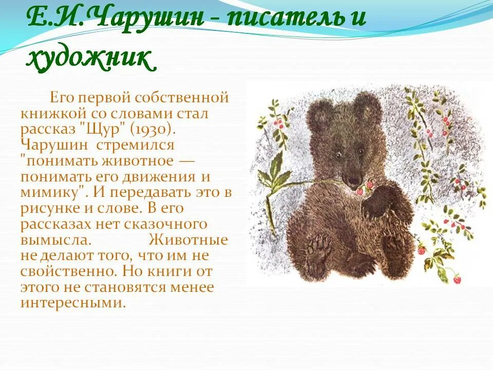 Чарушин для детей 2 класса
