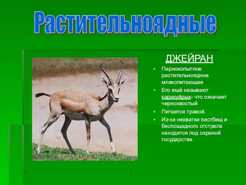Животное пустыни занесенное в красную книгу