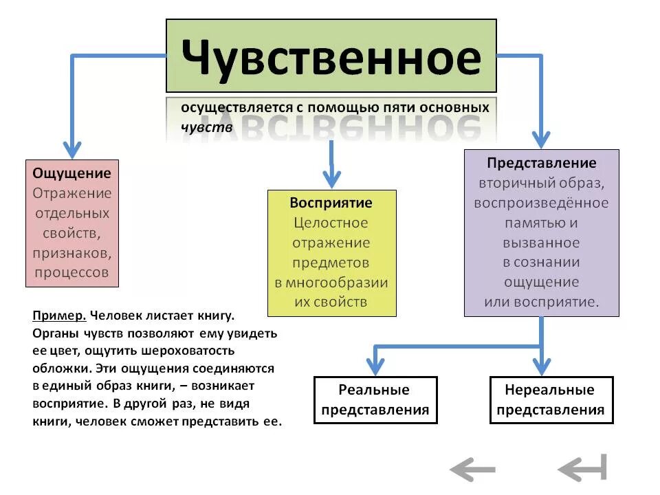 Виды чувственного познания. Ощущение восприятие представление примеры. Чувственное восприятие. Формы познания чувственное ощущение восприятие.