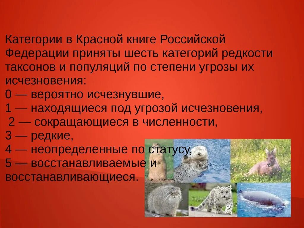 Презентация на тему красная книга 4 класс
