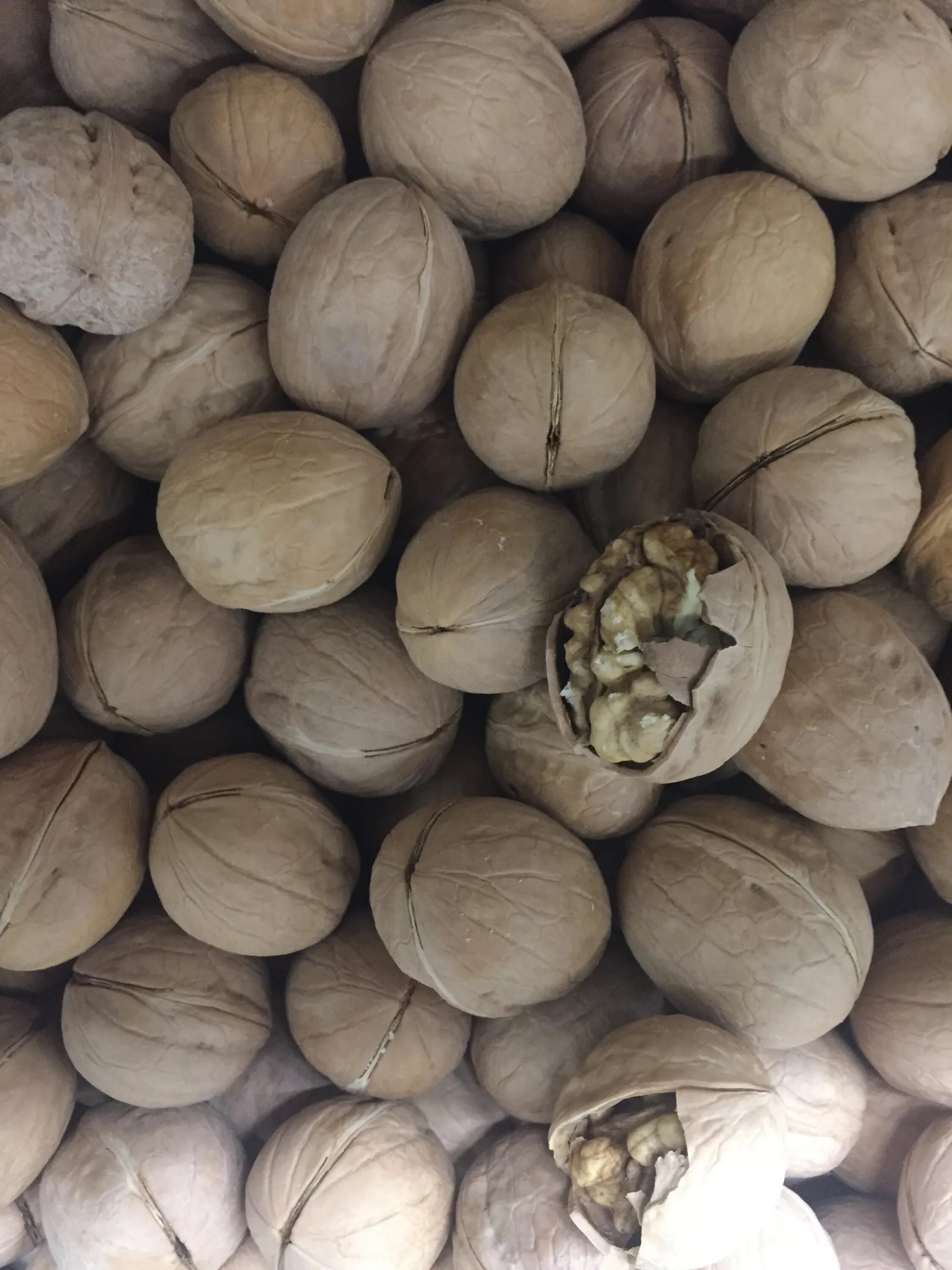 Какие орехи в скорлупе