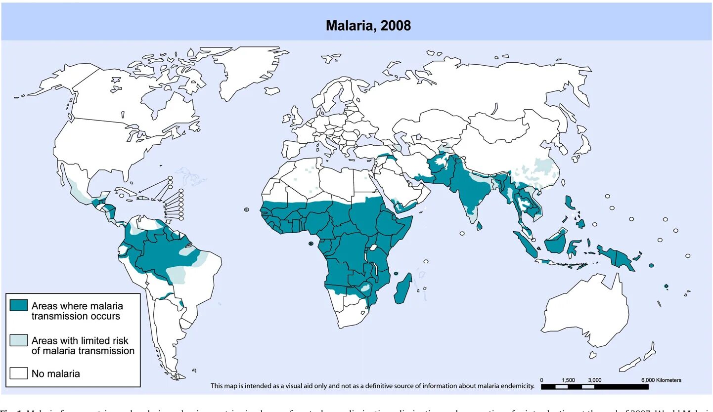 Распространение малярии. Распространение Plasmodium ovale. Plasmodium malariae распространение. Карта распространения малярии в мире 2021. Малярия ареал распространения.
