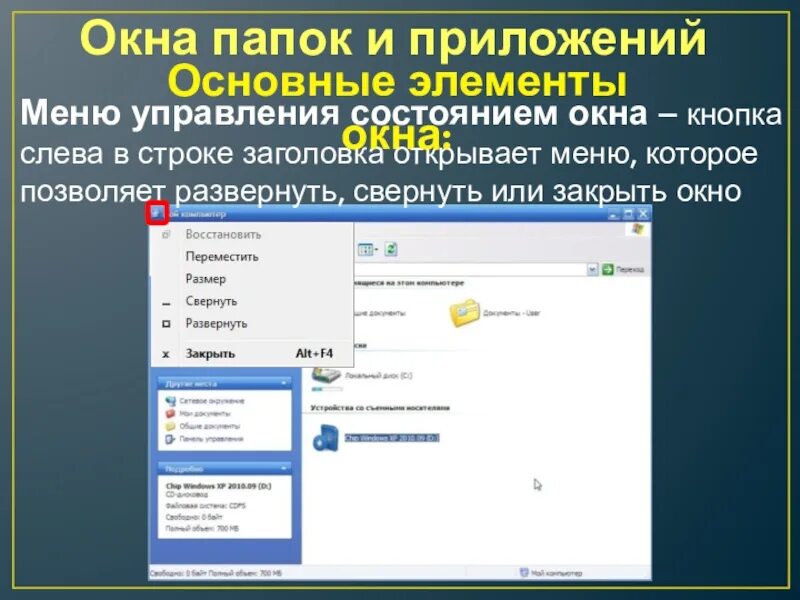 Элементы окон приложений. Окно папки. Элементы окна папки. Основные элементы окна папки. Элементы окна папок и приложений.