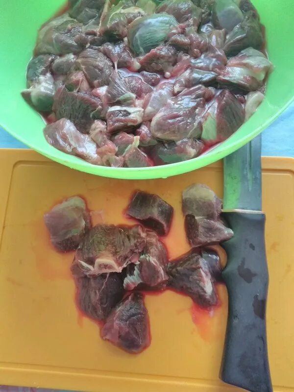 Как вымачивать мясо бобра. Как вымачивать мясо бобра