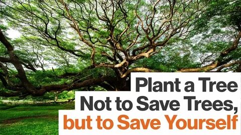 Think plant
