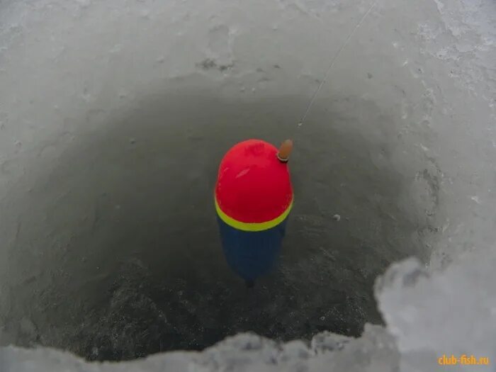 Зимняя поплавочная удочка для ловли плотвы. Зимние поплавки на леща. Зимняя ловля леща на поплавок. Рыбалка зимой на поплавок. Зимняя поплавочная снасть.