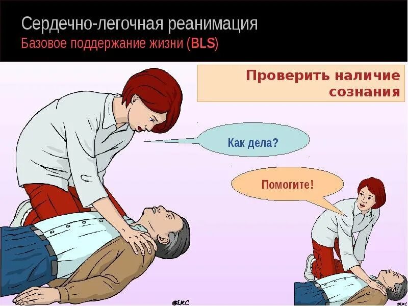 Прекращение слр