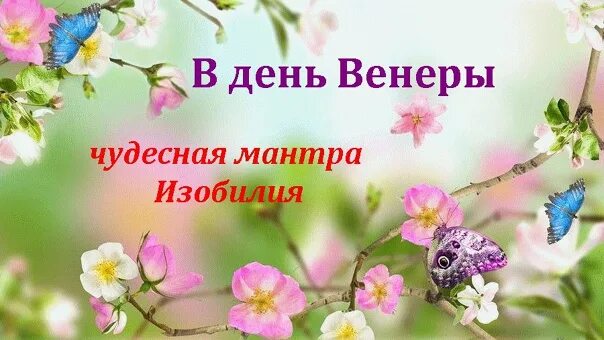 День венеры для женщин. День венеры. пятница день венеры мантра. аффирмация на пятницу день венеры. день венеры пятница ритуалы.