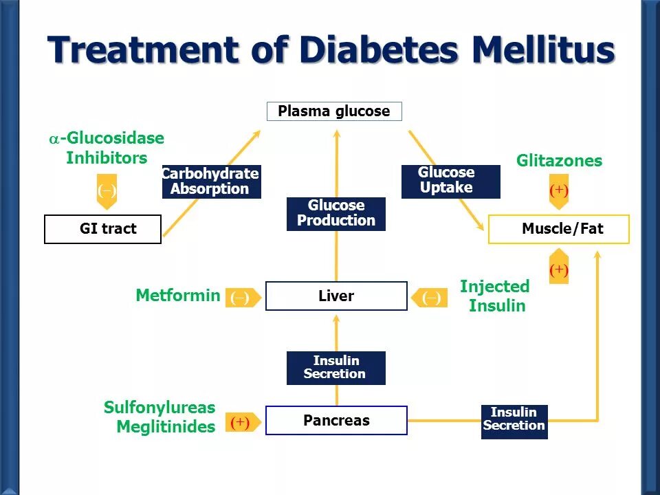 Diabetes mellitus treatment. Diabetes mellitus presentation. Biochemistry of Diabetes mellitus. Diabetes mellitus Guidelines. Treatment method