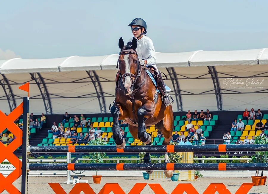 Конюшня Голден Хорс. Голден Хорс Таганрог. КСК Golden Horse, Таганрог. Конный клуб Золотая лошадь Таганрог. Голден хорс отзывы