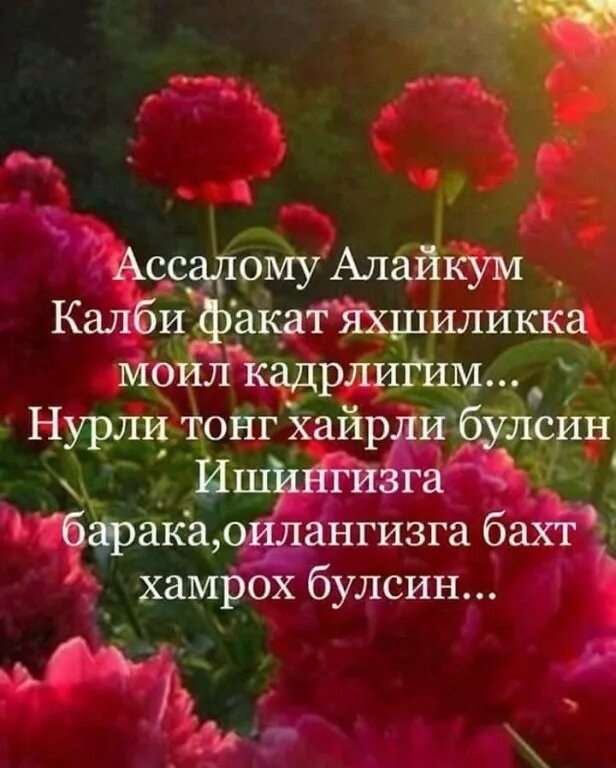 Ассаломуалайкум хайрли тонг. Хайрли тонг севгилим. Тонг тилаклари. Тонг табриклари. Хайрли тонг расмлар.